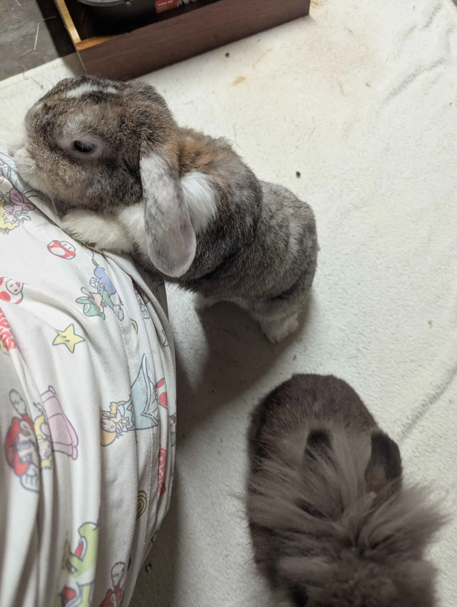 Oscar et Basylle, photo 2