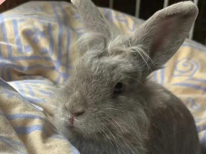 Photo de Nini