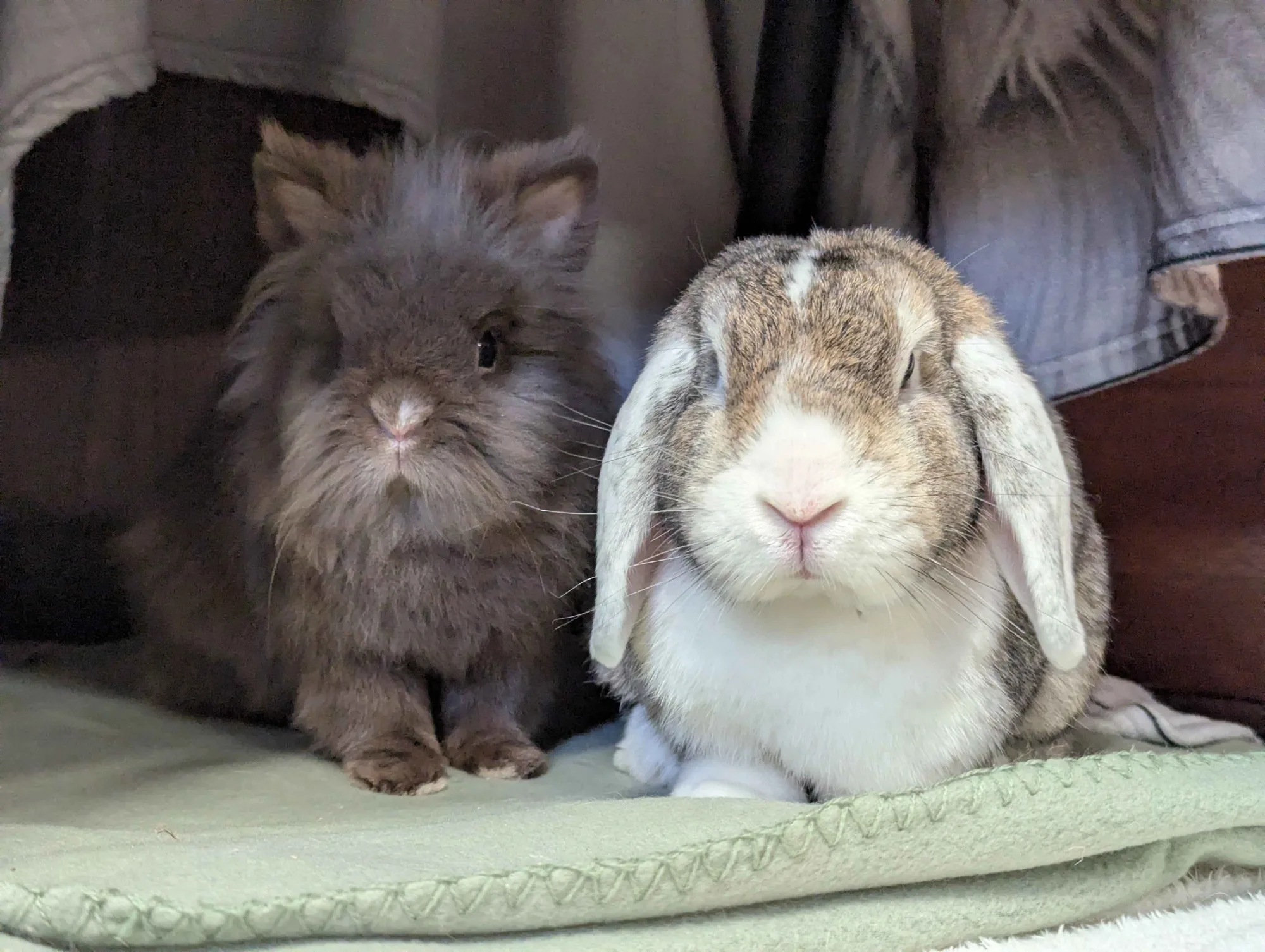 Photo de Oscar et Basylle