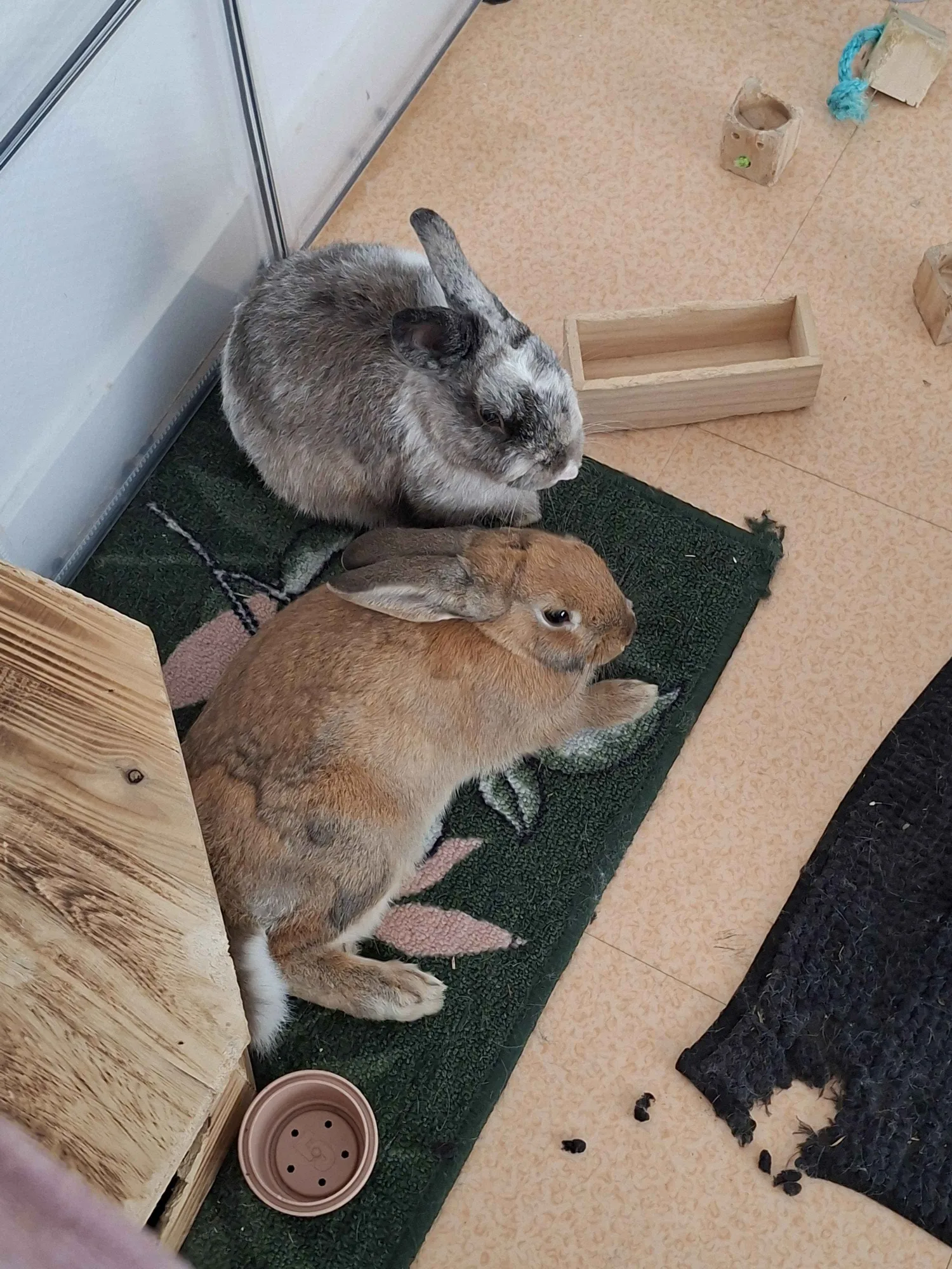 Photo de Virgule et Potame