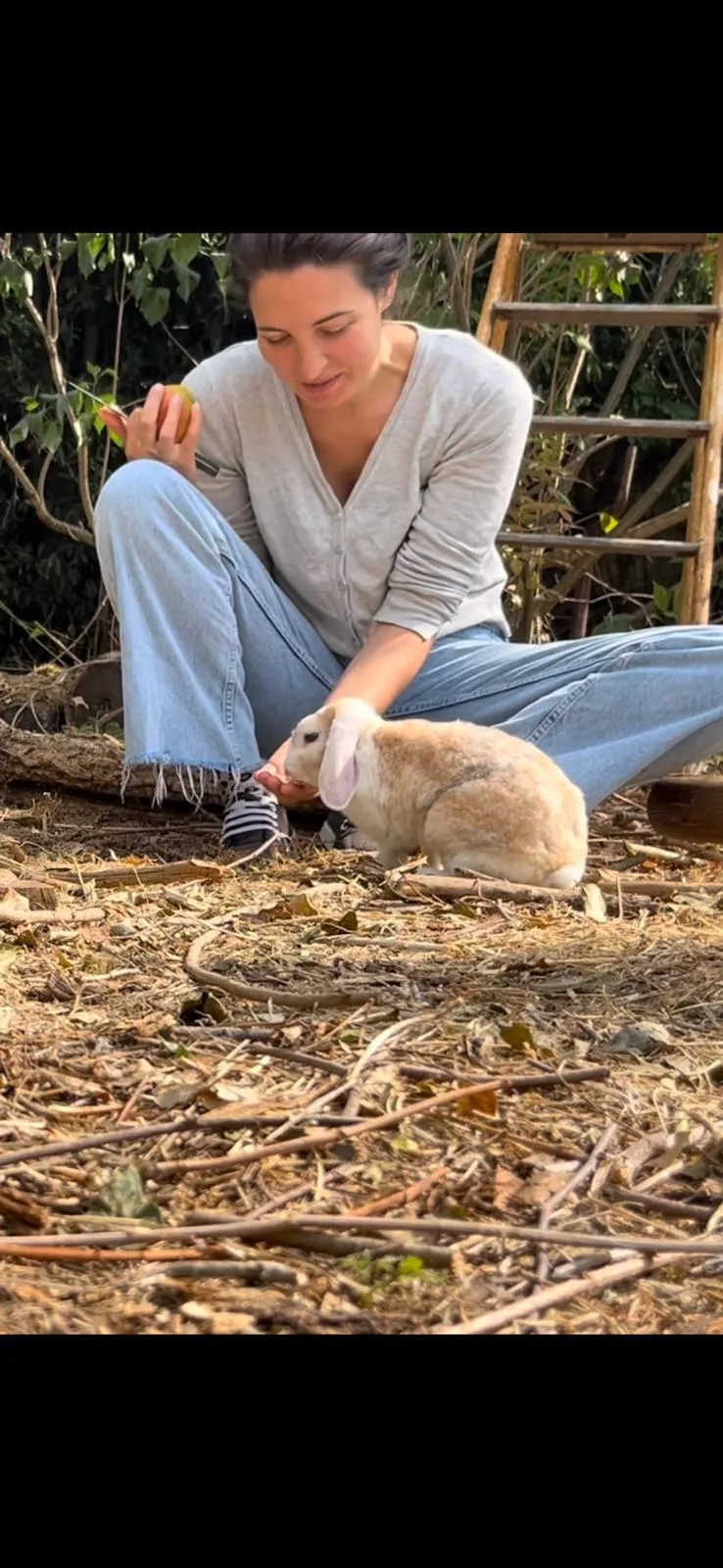 Nala mange dans la main de sa serveuse humaine