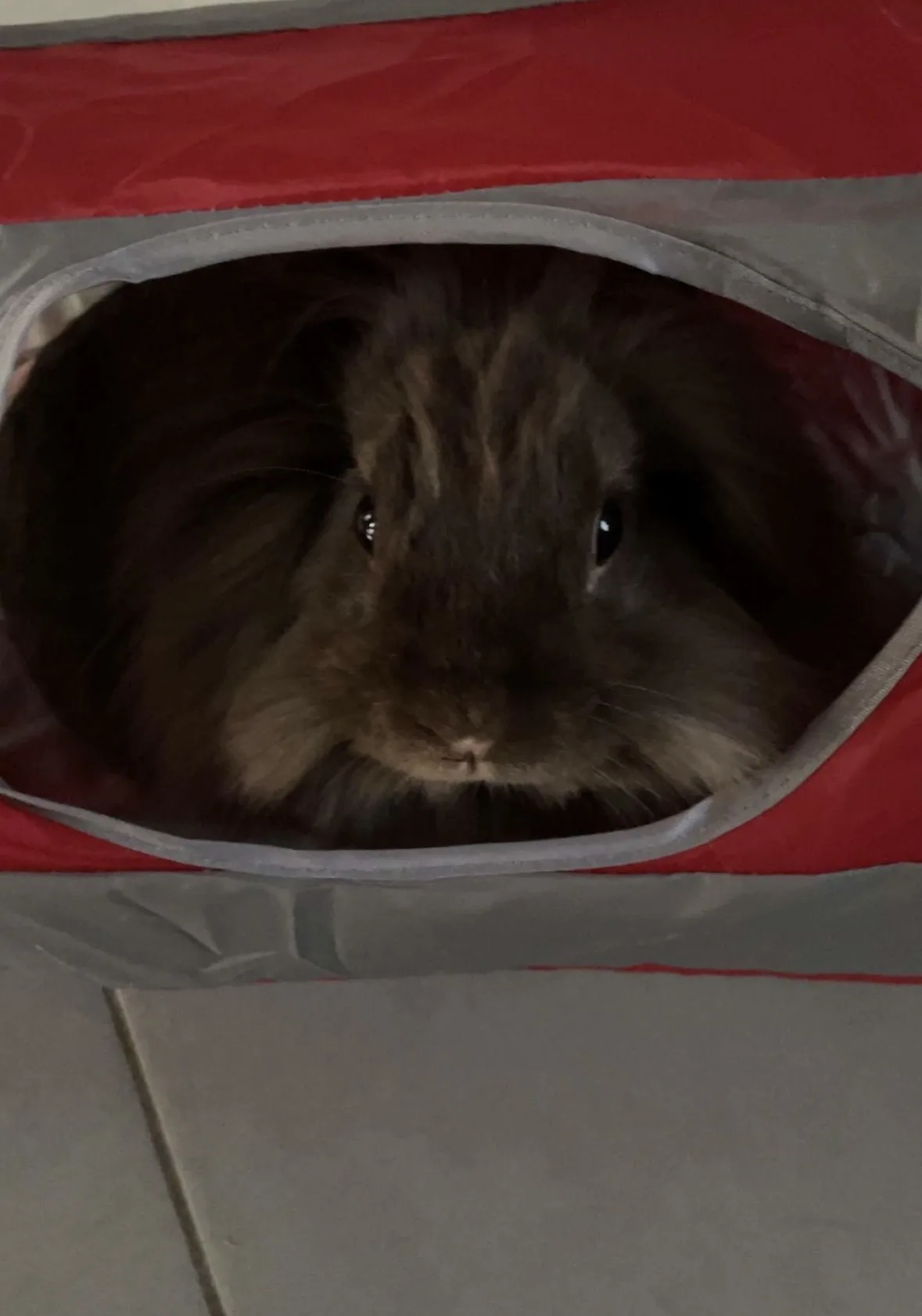 Jarry dans sa famille, photo 1 sur 3