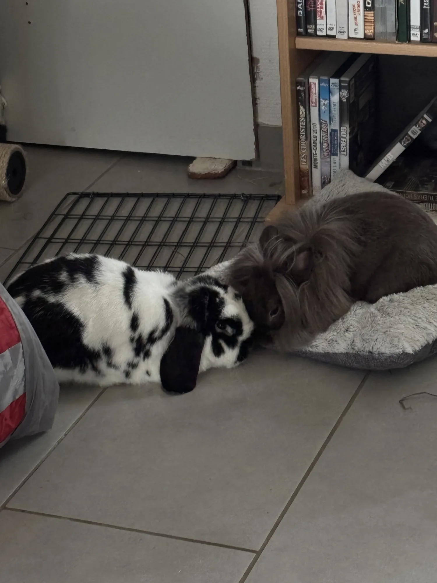 Jarry dans sa famille, photo 3 sur 3